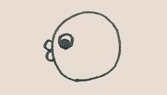 涂色的河豚简笔画教程