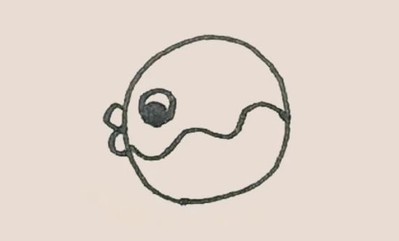 涂色的河豚简笔画教程