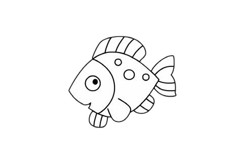 海洋生物热带鱼简笔画 海洋生物热带鱼简笔画