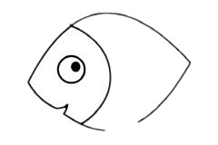 海洋生物热带鱼简笔画 海洋生物热带鱼简笔画