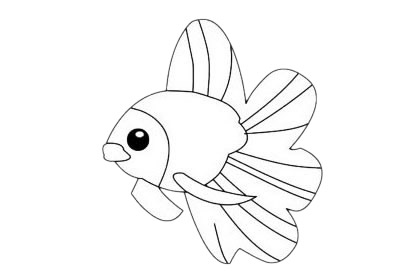 一组热带鱼简笔画大全