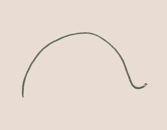 涂色的鲸鱼简笔画教程