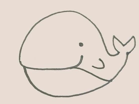 涂色的鲸鱼简笔画教程