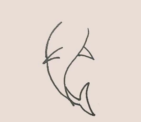 涂色的旗鱼简笔画教程 涂色的旗鱼简笔画教程