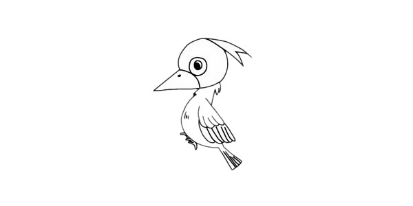 一步步教你画简单的啄木鸟