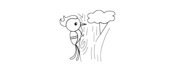 5张卡通啄木鸟简笔画