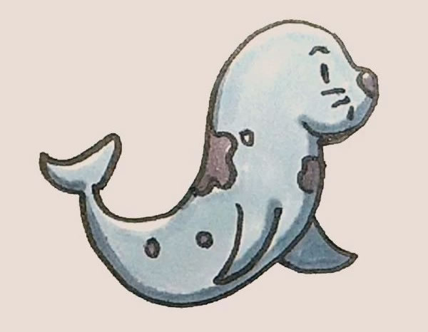 涂色的海豹简笔画教程