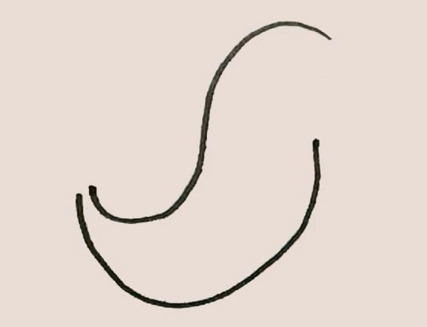 涂色的海豹简笔画教程