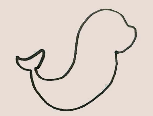 涂色的海豹简笔画教程