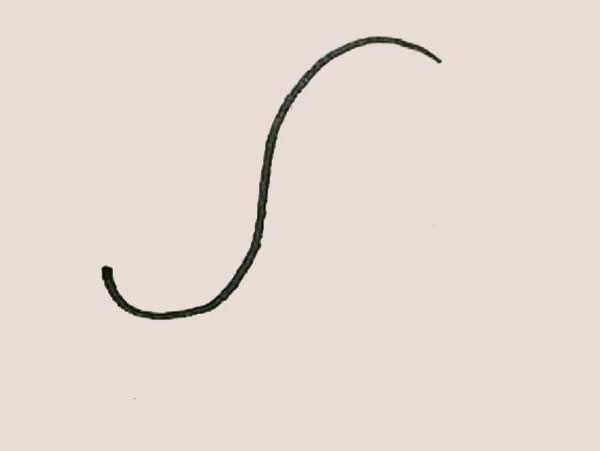 涂色的海豹简笔画教程