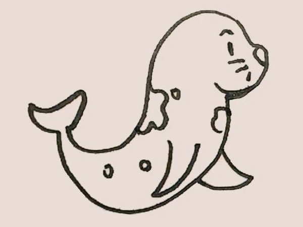 涂色的海豹简笔画教程
