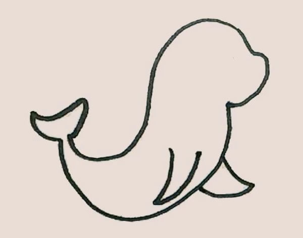 涂色的海豹简笔画教程