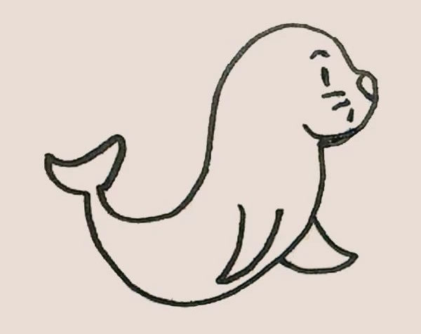 涂色的海豹简笔画教程