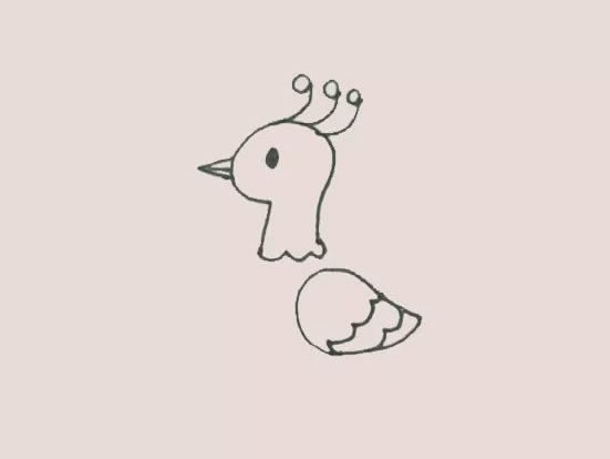 漂亮的孔雀简笔画涂色 漂亮的孔雀简笔画涂色