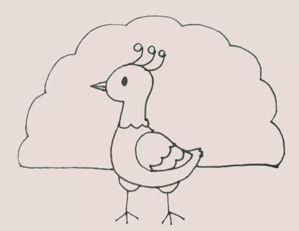 漂亮的孔雀简笔画涂色 漂亮的孔雀简笔画涂色
