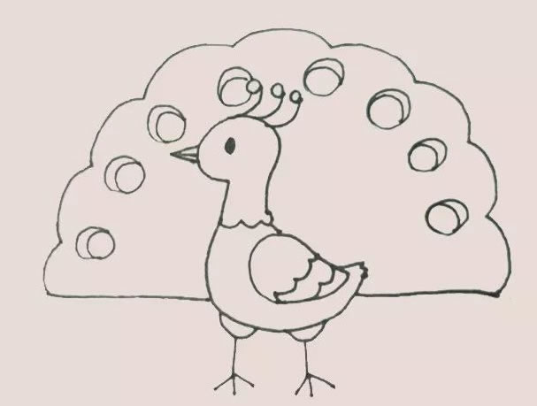 漂亮的孔雀简笔画涂色 漂亮的孔雀简笔画涂色
