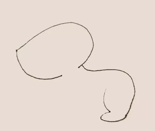 简单的小黄狗怎么画