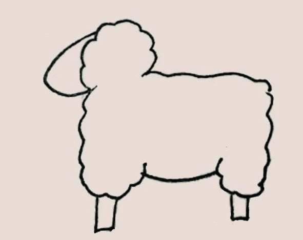 涂色的绵羊简笔画教程