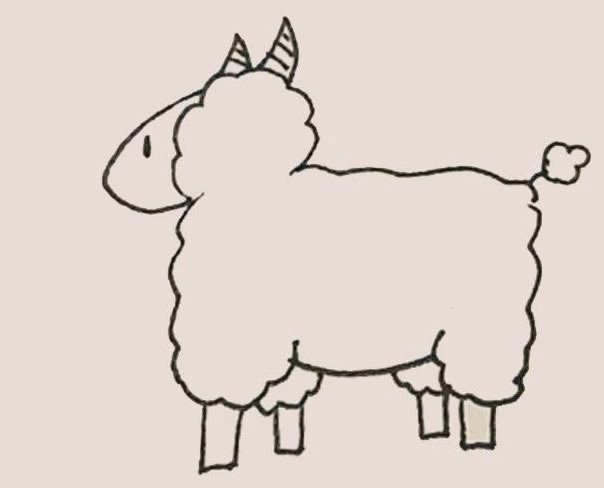 涂色的绵羊简笔画教程