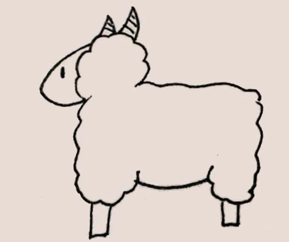 涂色的绵羊简笔画教程