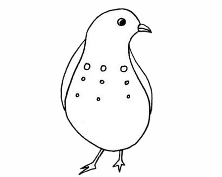 鹌鹑幼儿简笔画