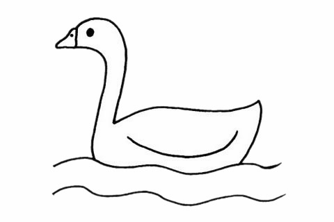白鹅简笔画步骤教程