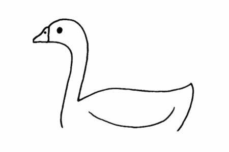 白鹅简笔画步骤教程