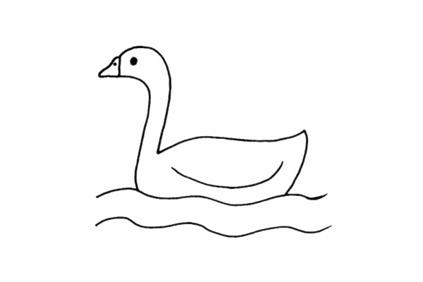 白鹅简笔画步骤教程