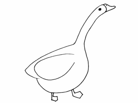 白鹅怎么画简单又好看