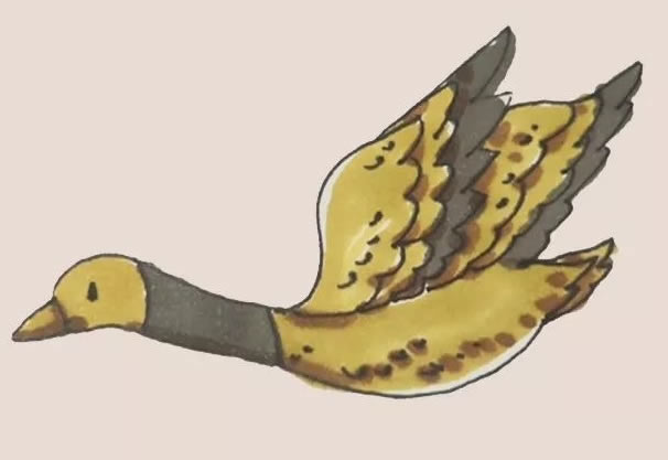 大雁简笔画教程【涂色】