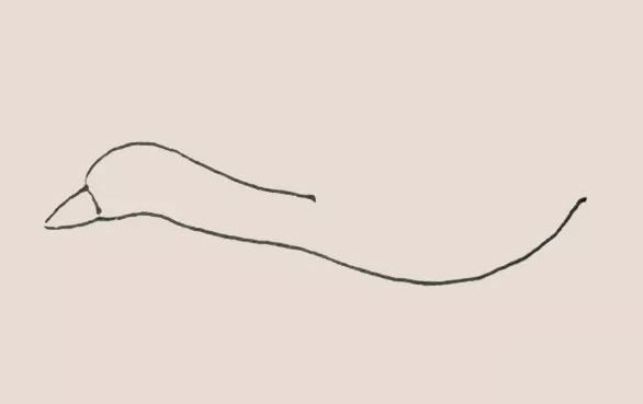 大雁简笔画教程【涂色】