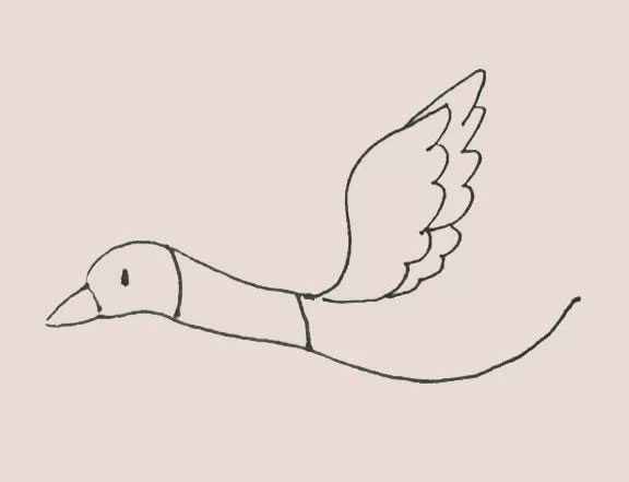 大雁简笔画教程【涂色】