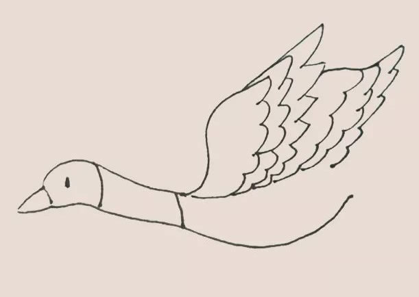 大雁简笔画教程【涂色】