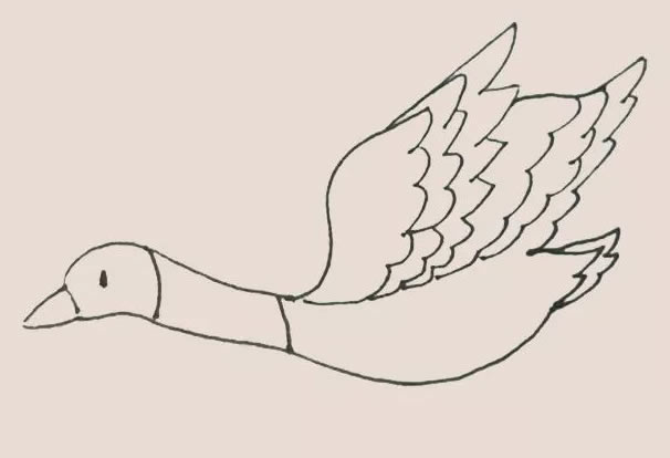 大雁简笔画教程【涂色】