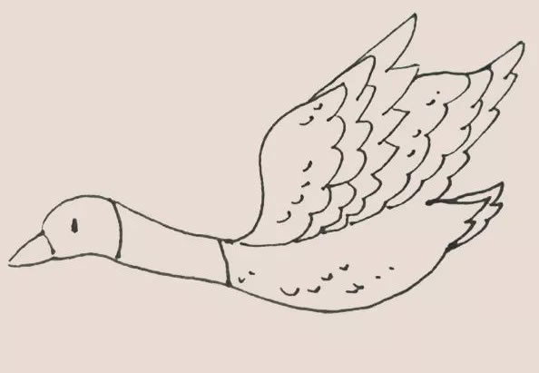 大雁简笔画教程【涂色】