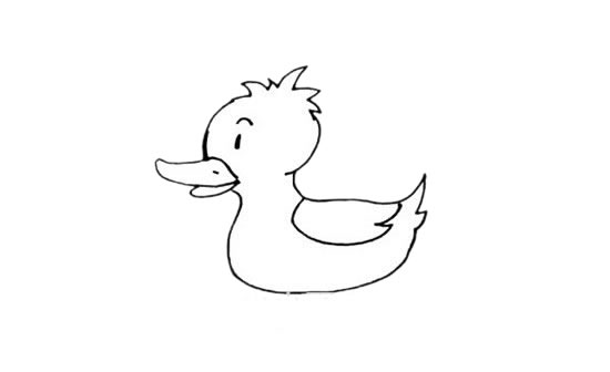 水中的小黄鸭简笔画教程 水中的小黄鸭简笔画教程