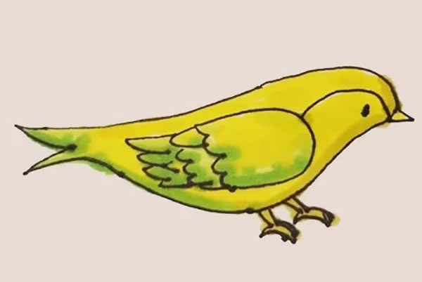 黄鹂怎么画 黄鹂简笔画教程