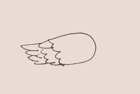 黄鹂怎么画 黄鹂简笔画教程