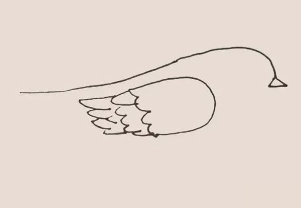 黄鹂怎么画 黄鹂简笔画教程