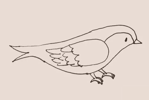 黄鹂怎么画 黄鹂简笔画教程