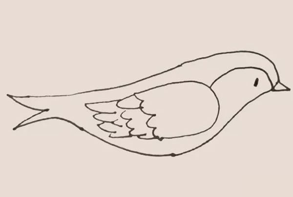 黄鹂怎么画 黄鹂简笔画教程