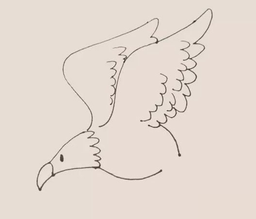 老鹰简笔画步骤教程【涂色】