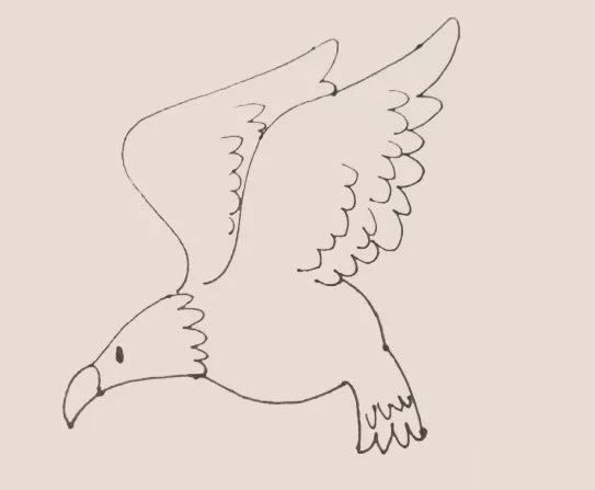 老鹰简笔画步骤教程【涂色】