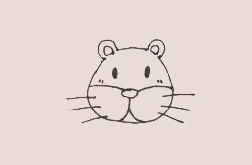 狮子简笔画步骤教程【涂色】