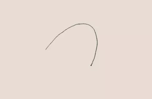 涂色的母鸡简笔画教程 涂色的母鸡简笔画教程