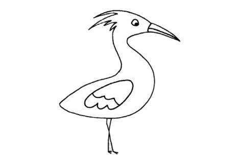 白鹭简笔画步骤教程 白鹭简笔画步骤教程