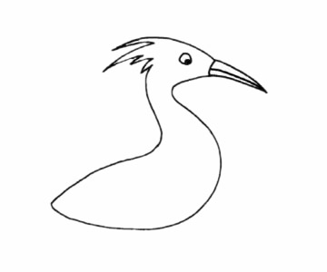 白鹭简笔画步骤教程 白鹭简笔画步骤教程
