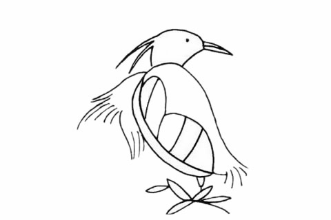 白鹭简笔画怎么画