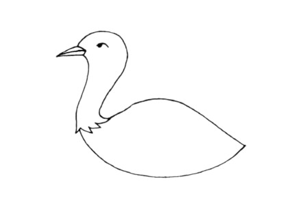 鸨鸟简笔画步骤教程