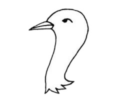 鸨鸟简笔画步骤教程
